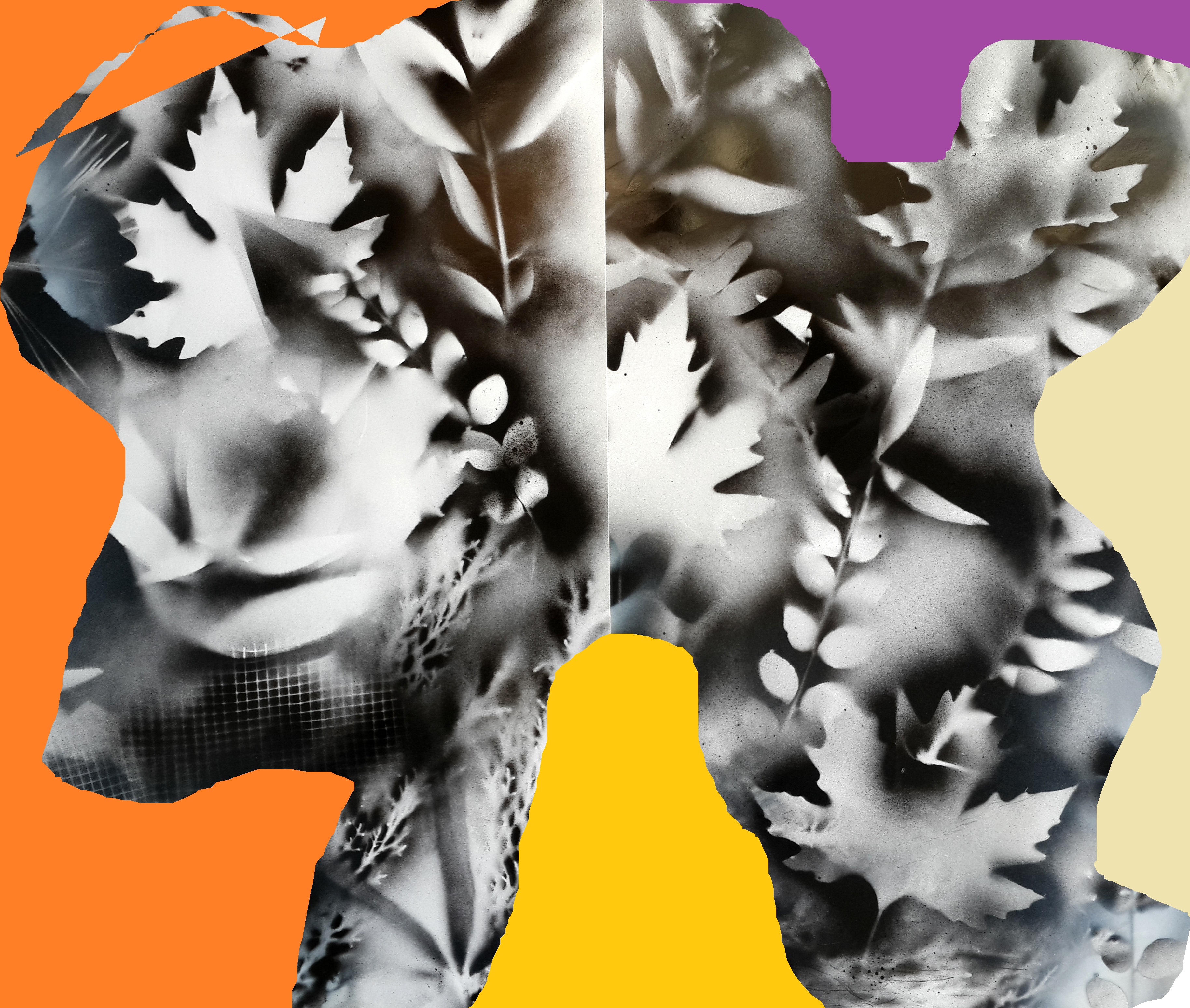 Kağıt Üzerine Sprey Boya, Dijital Çalışma 'Ayrışma' 70x100 cm 2014